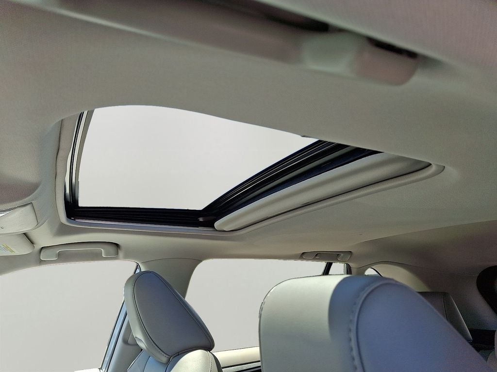 2019 Toyota RAV4 XLE Premium w/Premium Grade Weather Package